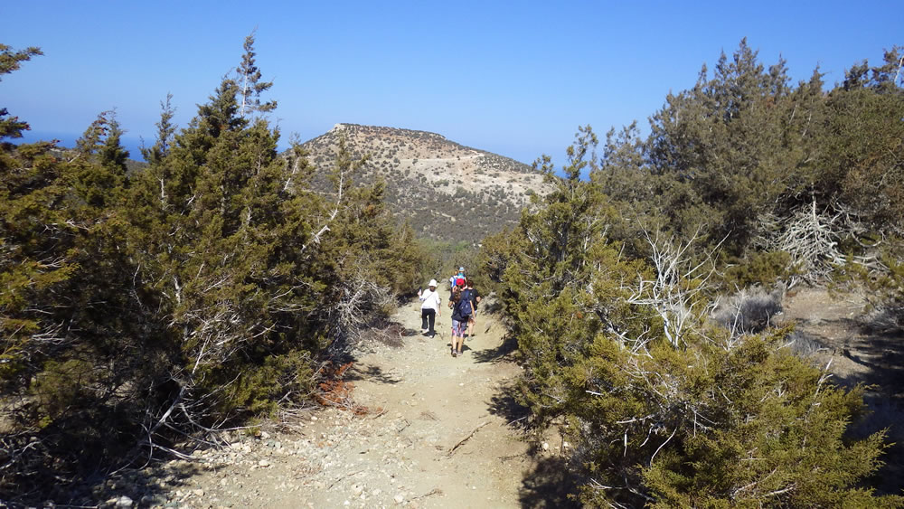 Guided walking at Adonis Trail