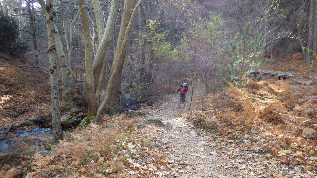 Two walkers on a trail in a lush valley in winter with brown leaves