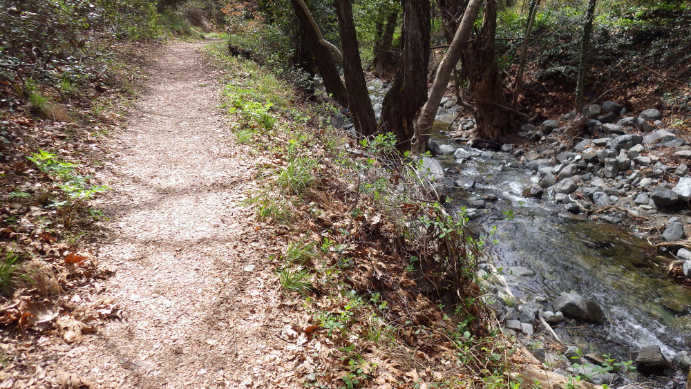 A walking trail along a stream