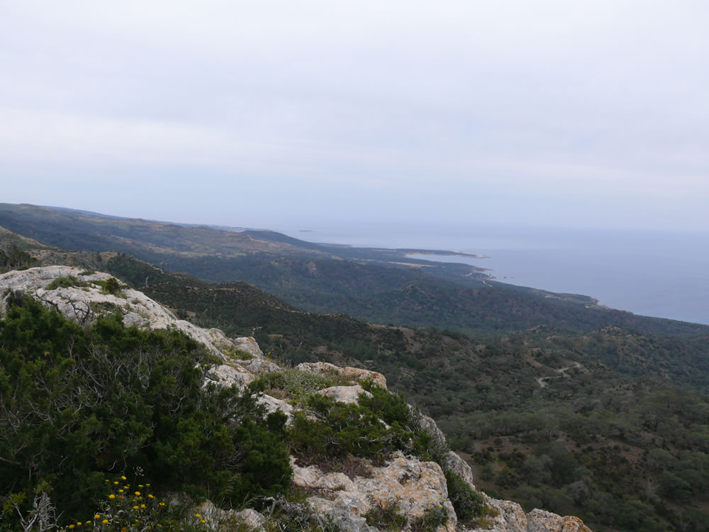 Pissouromoutti - view to Lara coast