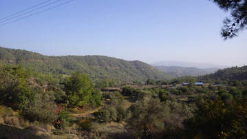 View of Paphos Forest
